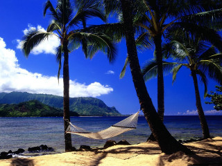 Hammock palm trees beach mountain - a hammock free wallpaper