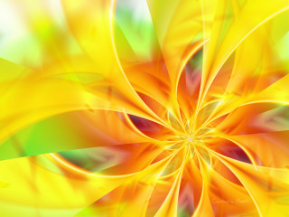 Yellow green flower white background - elizabeth murray free wallpaper