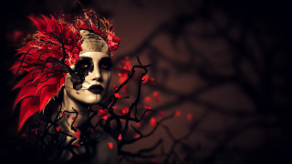 Gothic fantasy woman redfeather mask - headdress free wallpaper