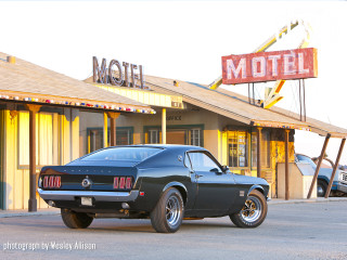 Black mustang motel neon sign - the roof free wallpaper