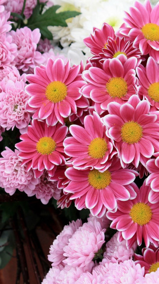 Pink white flowers vase table - free flowers wallpaper for mobile