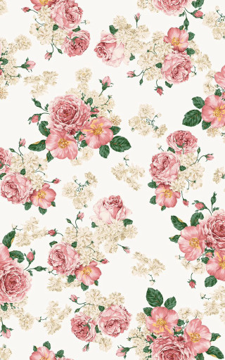 Pink flowers green leaves roses - the side of the wall free wallpaper for mobile