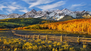 Fence field mountains trees yellow - yellow leaf free wallpaper