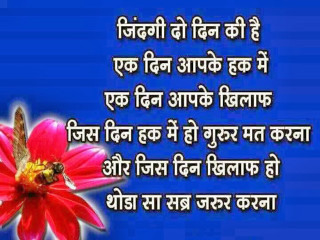 Pink flower bee quote image - a quote in the middle of free wallpaper