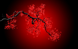 Branch red leaves black background - cheng shifa free wallpaper