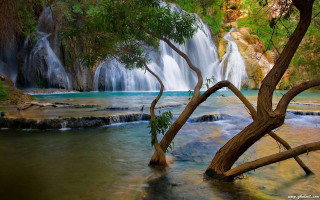 Waterfall tree background water body - bouchta el hayani free wallpaper