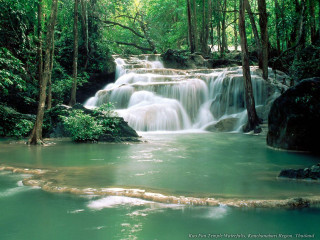 Waterfall forest pool trees nature 2 - a pool of water free wallpaper