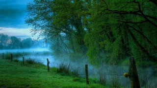 Foggy lake fence trees nighttime - mist free wallpaper for desktop