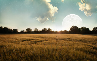 Full moon field twilight stars - a full moon in the sky above free wallpaper