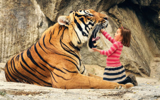 Woman petting tiger beach outdoors - amédée ozenfant free wallpaper