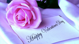 Pink rose valentines white card - a happy valentines day free wallpaper