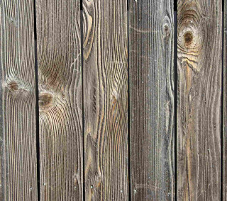 Bird perched wooden fence post - a woodcut free wallpaper