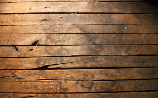Wooden plank bird side bird 3 - texture free wallpaper