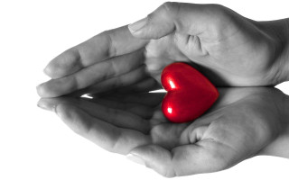 Hands holding red heart palm - artgem free wallpaper