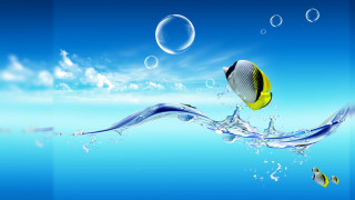 Fish swimming ocean bubbles underwater 4 - airbrush free wallpaper