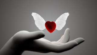 Hand heart wings gothic digital - a hand holding free wallpaper