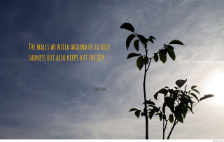 Plant sky background quote author - dave allsop free wallpaper