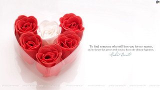 Heart shaped box roses quote - the side of free wallpaper