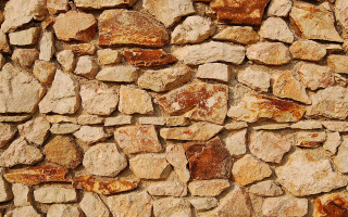 Stone wall animal cat brown - a stone wall free wallpaper