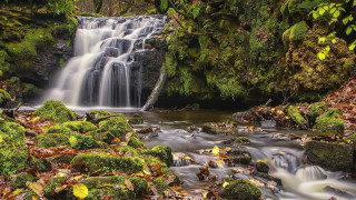 Waterfall forest mossy rocks trees 5 - mossy rock and trees free wallpaper