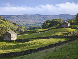 Grassy field stone wall stone - free landscape wallpaper
