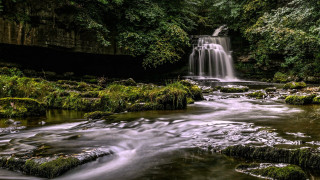 Waterfall forest mossy rocks trees 8 - mossy rock and trees free wallpaper