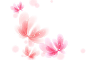 Pink flower bubbles white background - a place free wallpaper