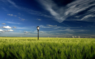 Lamp post field blue sky - the background and a street light in the foreground free wallpaper