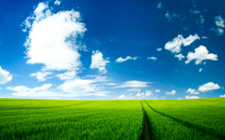 Green field sky path middle - andries stock free wallpaper for desktop