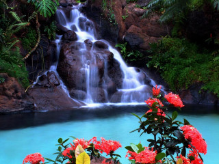 Waterfall red flowers blue pool - a waterfall free wallpaper for desktop