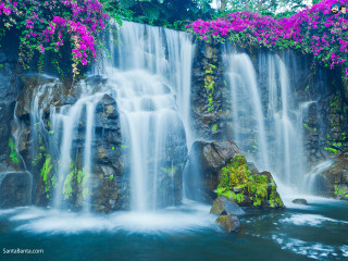 Waterfall purple flowers rock water 4 - a waterfall in the middle free wallpaper