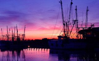 Boats harbor sunset purple sky - a purple sky in the background free wallpaper for desktop