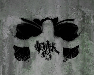 Graffiti bird walk 25 wings - banksy free wallpaper for desktop