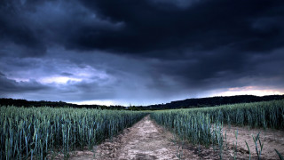 Dirt road field storm clouds 2 - a dirt road in a field free wallpaper