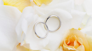 Silver rings white flower yellow - a pair free wallpaper for desktop