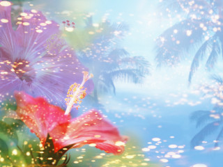 Flower palm trees christmas night - white cloud free wallpaper