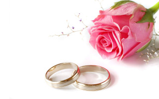 Wedding rings rose white background 3 - bracha l. ettinger free wallpaper