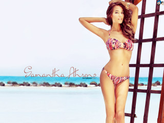 Woman bikini beach fence water - ann thetis blacker free wallpaper