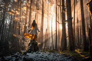 Woman white dress forest sunbeams - a trail free wallpaper