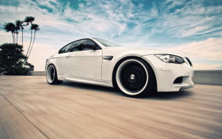 White car road palm tree - clean line free wallpaper