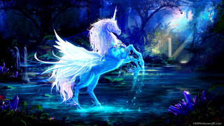 Unicorn pond waterfall forest trees - epic fantasy free wallpaper