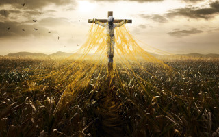 Cross field sky birds flying - a sunbeam in the foreground free wallpaper