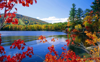 Lake trees red leaves mountain 2 - the shore free wallpaper