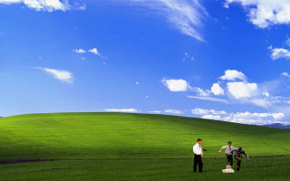 Two men green grass blue - green grass free wallpaper