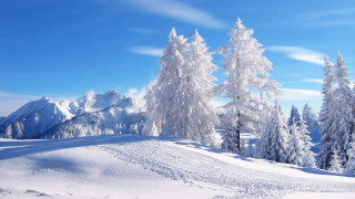 Snowy landscape trees mountains blue 4 - free winter wallpaper