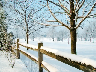 Fence snow tree background snow 3 - regionalism free wallpaper