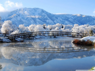 Bridge lake mountain snow trees - the ground and trees free wallpaper for desktop