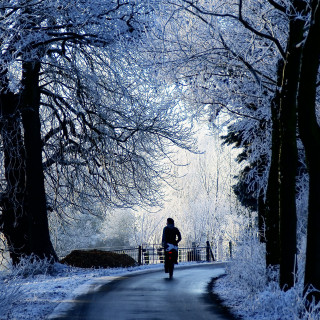 Snowy bike ride winter nature - free winter wallpaper for tablet