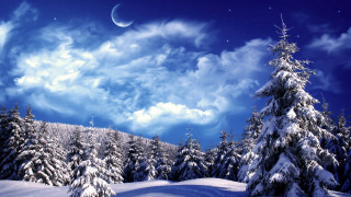 Snowy landscape full moon trees 3 - david brewster free wallpaper