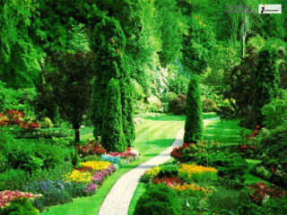 Garden path flowers trees nature - a garden free wallpaper